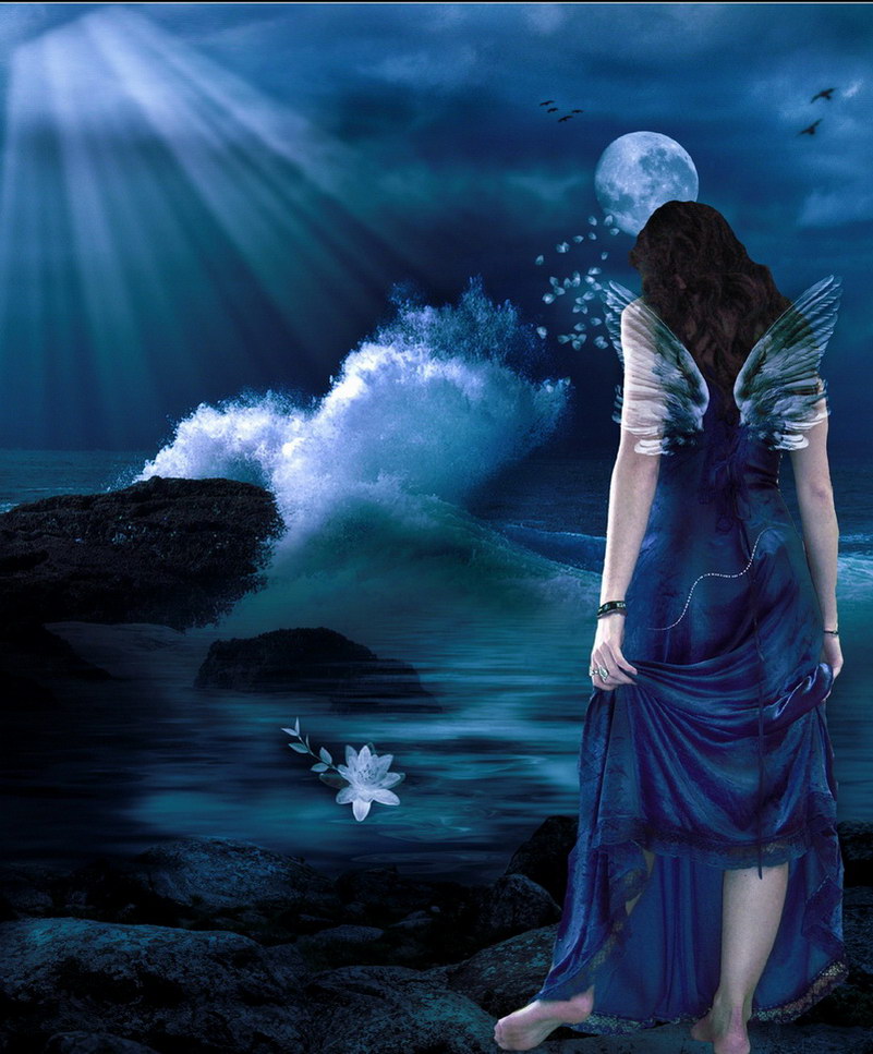 Image de Fée d'Isapierre Série D No 58 