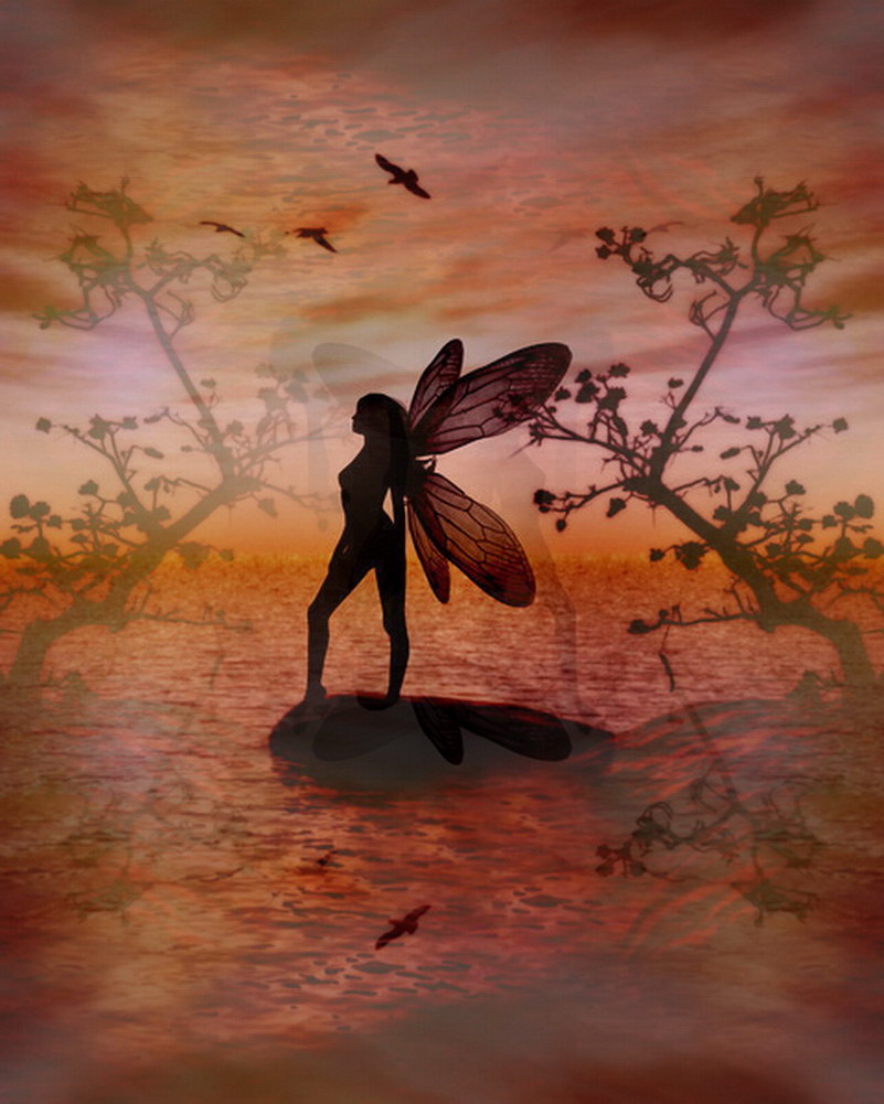 Image de Fée d'Isapierre Série D No 73 