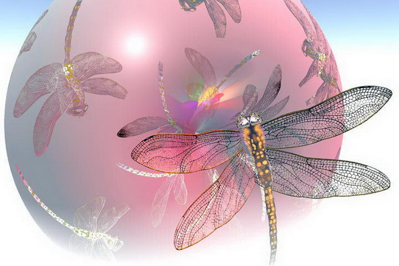 Image de Fée d'Isapierre Série D No 76 