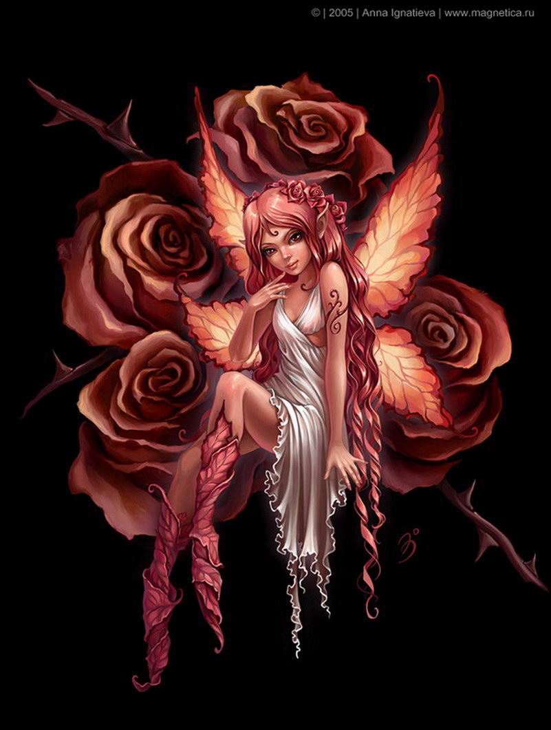 Image de Fée d'Isapierre Série D No 78 