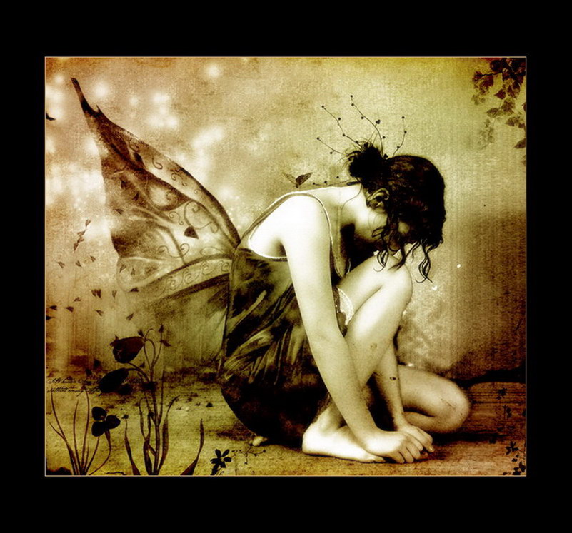 Image de Fée d'Isapierre Série D No 92 