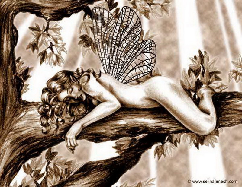 Image de Fée d'Isapierre Série D No 95 