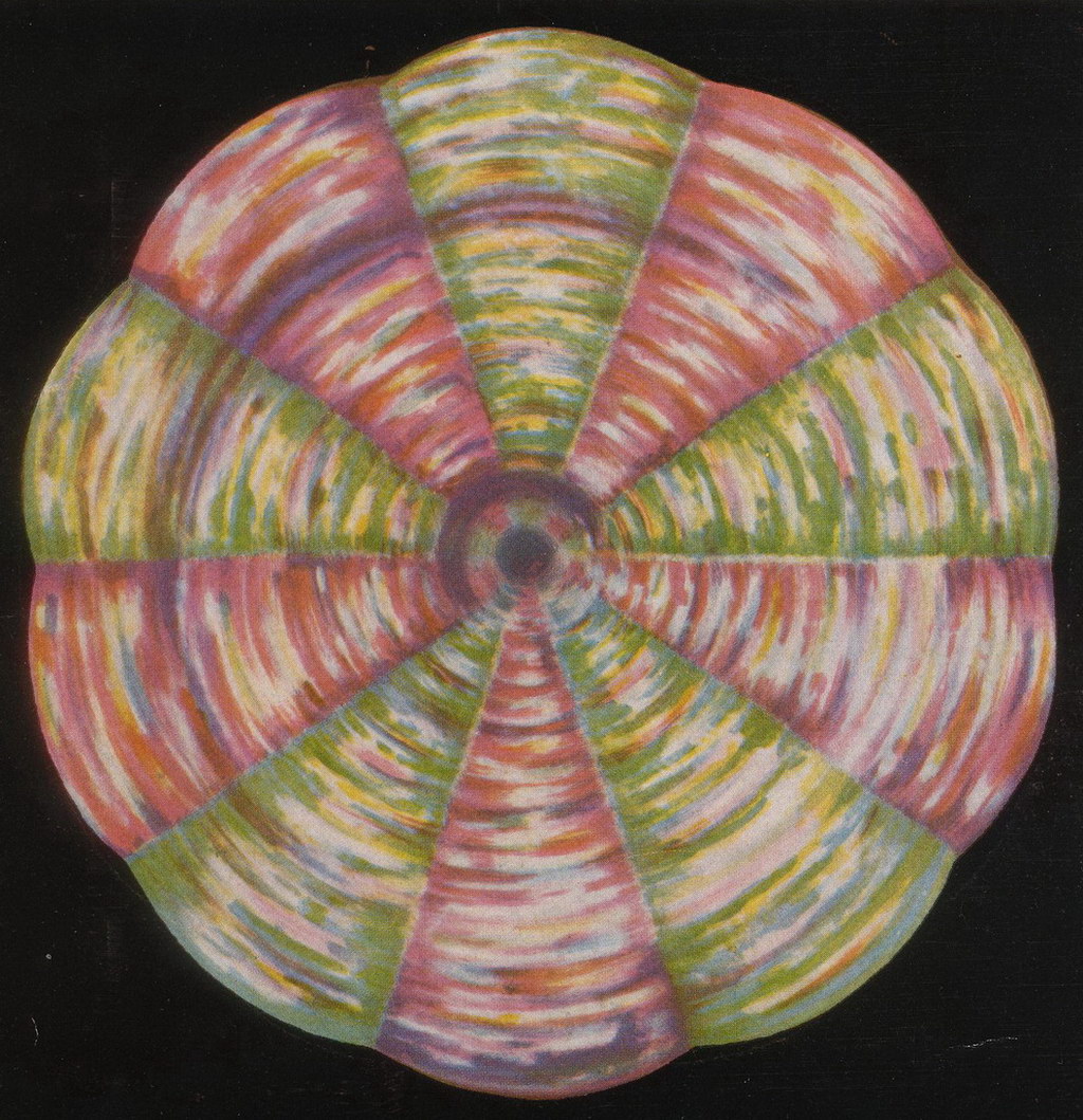 Croix de Lumière, Mandala  No 16 