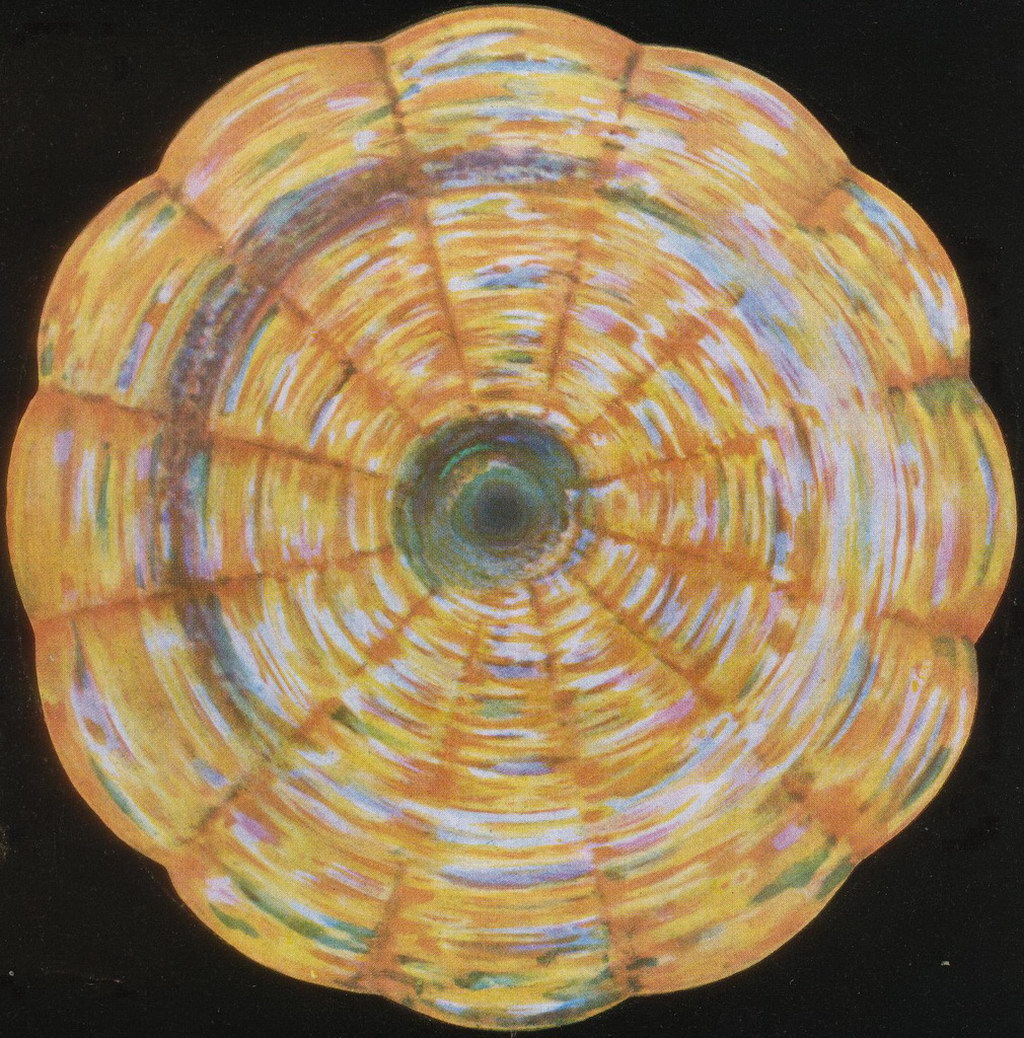 Croix de Lumière, Mandala  No 17 