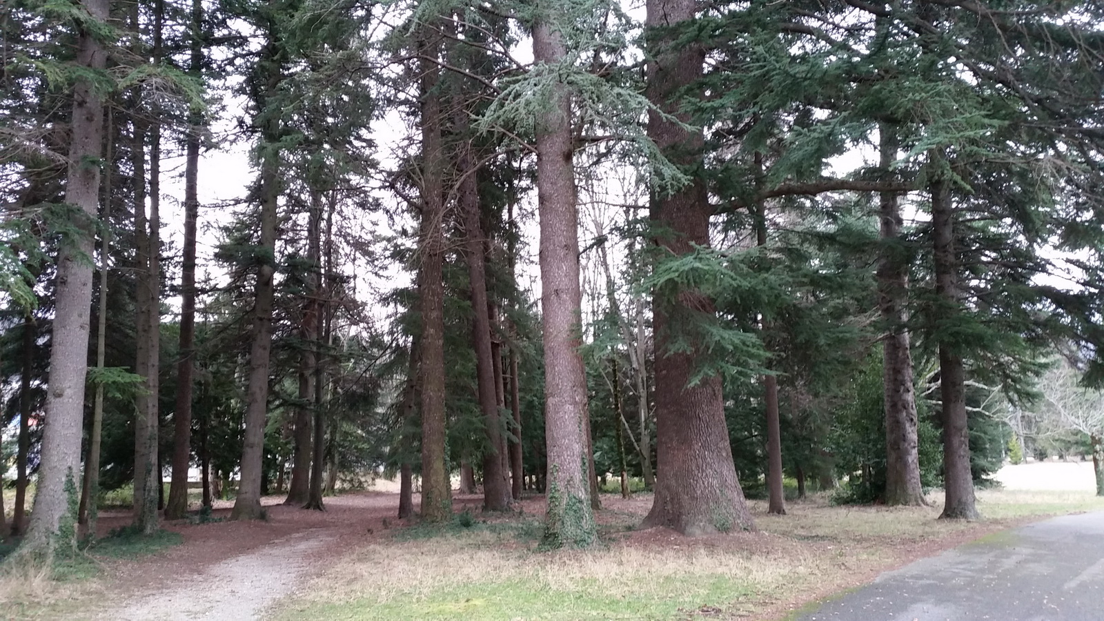 Rêve ou Réalité à Dieulefit... Oui bien sûr !!! No 003 