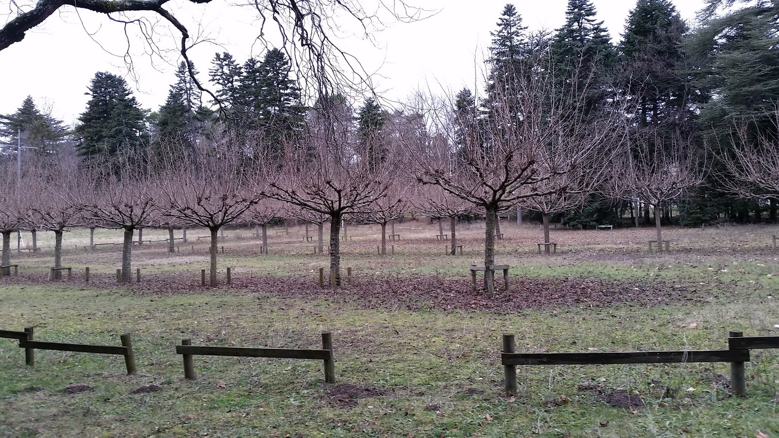 Rêve ou Réalité à Dieulefit... Oui bien sûr !!! No 004 