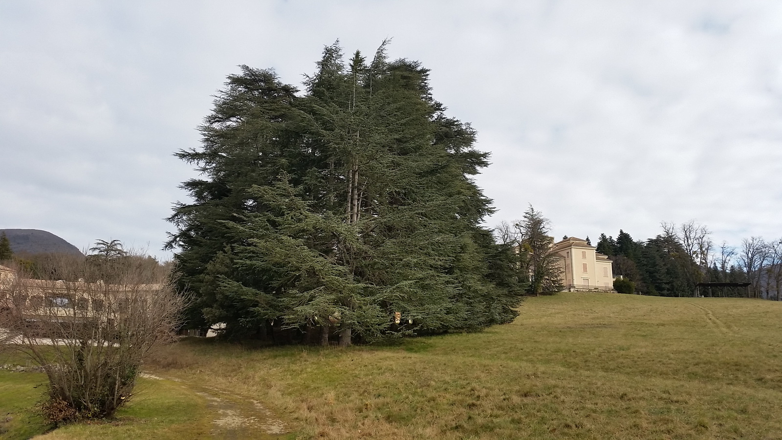 Rêve ou Réalité à Dieulefit... Oui bien sûr !!! No 034 