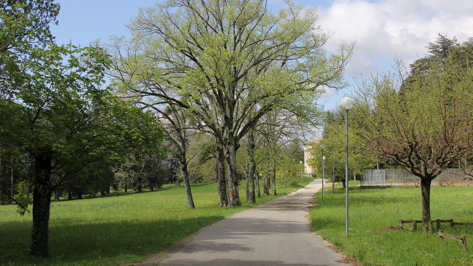 Rêve ou Réalité à Dieulefit... Oui bien sûr !!! No 042 