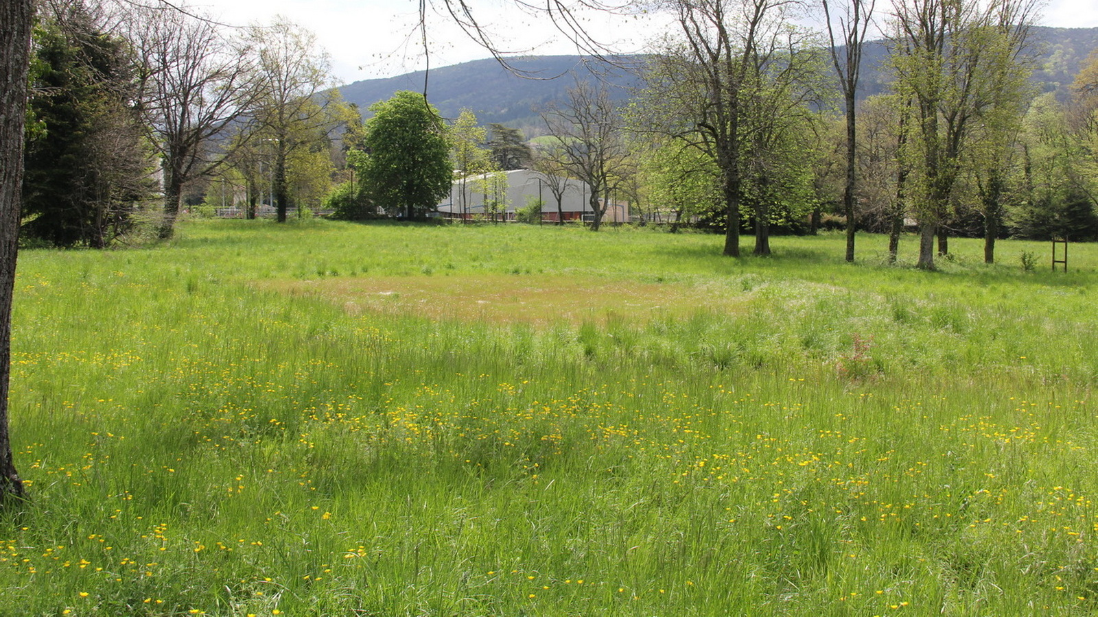 Rêve ou Réalité à Dieulefit... Oui bien sûr !!! No 044 