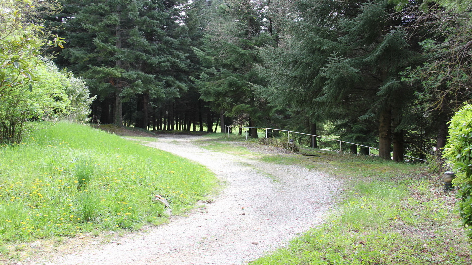 Rêve ou Réalité à Dieulefit... Oui bien sûr !!! No 056 