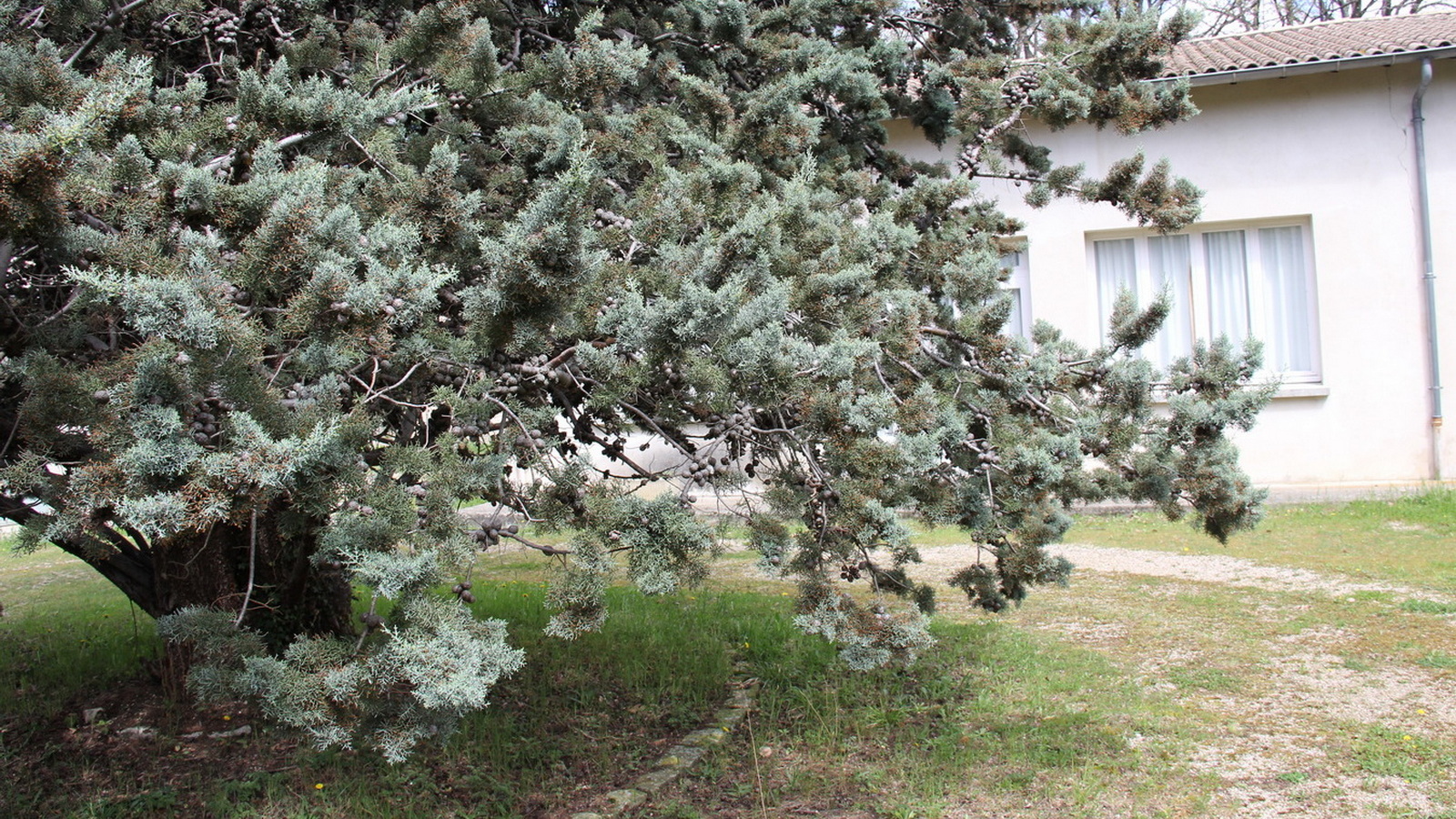 Rêve ou Réalité à Dieulefit... Oui bien sûr !!! No 065 