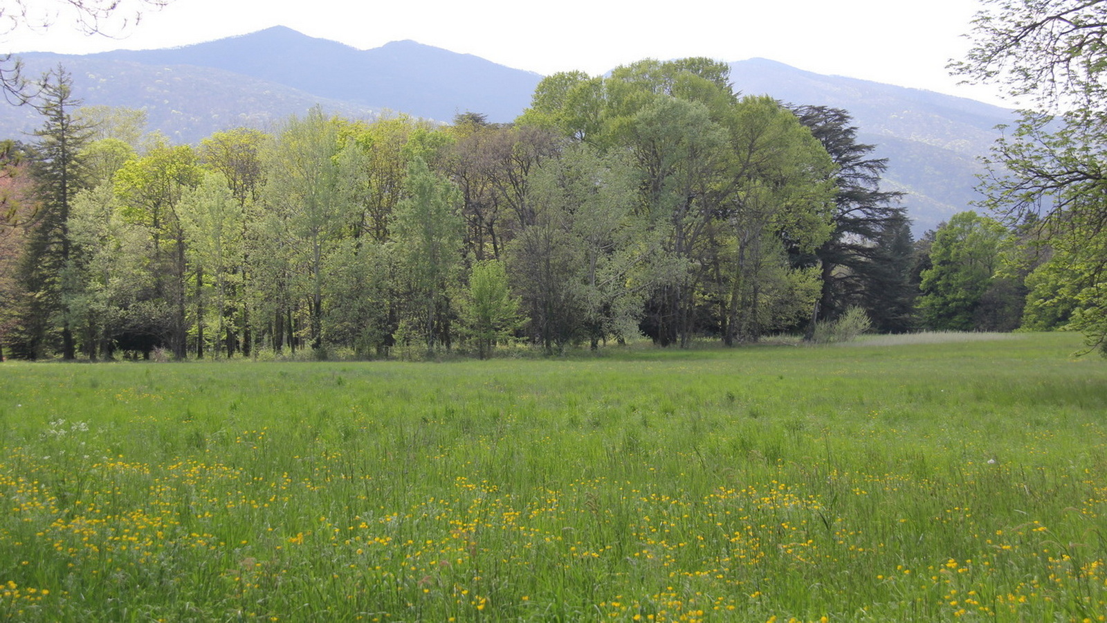 Rêve ou Réalité à Dieulefit... Oui bien sûr !!! No 083 