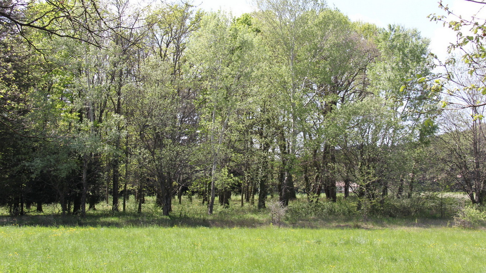 Rêve ou Réalité à Dieulefit... Oui bien sûr !!! No 088 