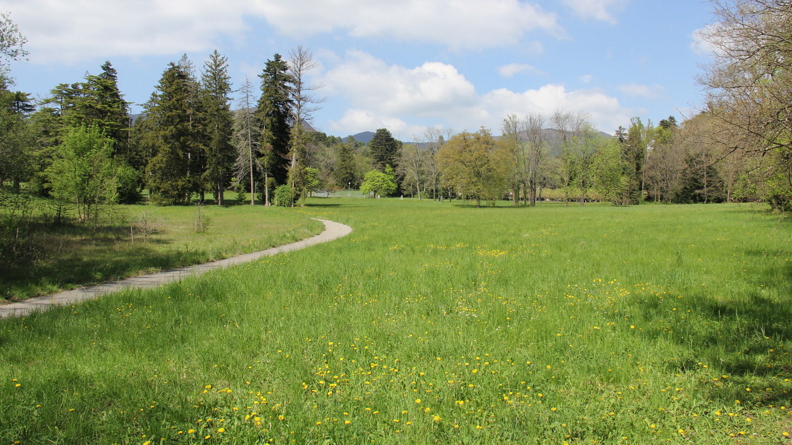 Rêve ou Réalité à Dieulefit... Oui bien sûr !!! No 089 