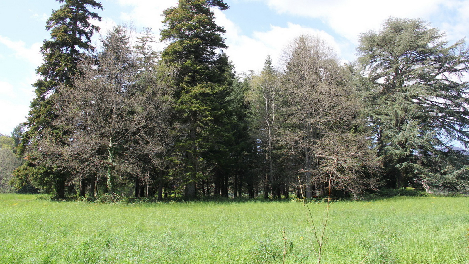 Rêve ou Réalité à Dieulefit... Oui bien sûr !!! No 094 