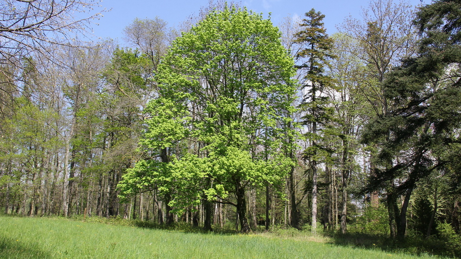 Rêve ou Réalité à Dieulefit... Oui bien sûr !!! No 093 