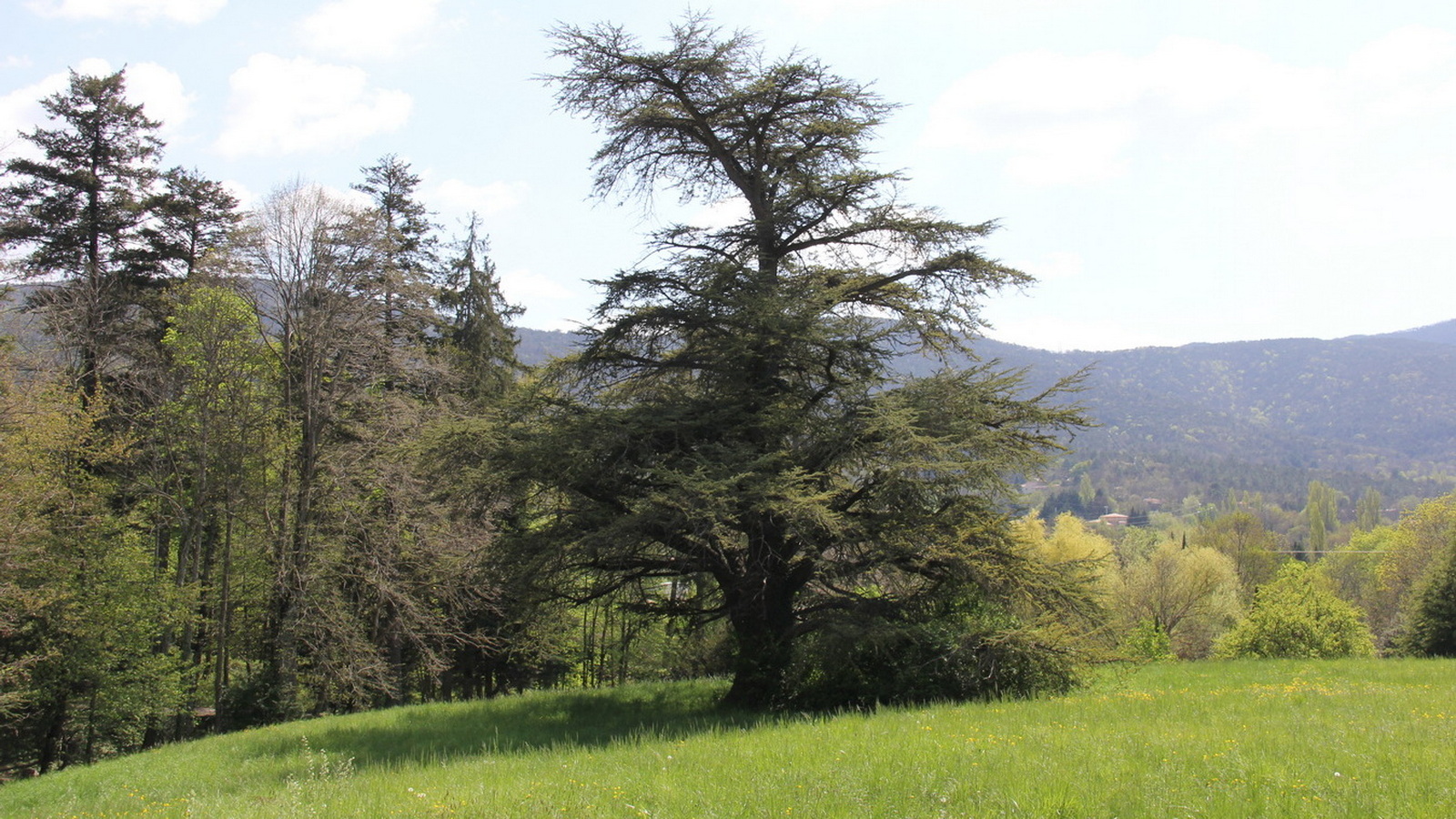 Rêve ou Réalité à Dieulefit... Oui bien sûr !!! No 106 