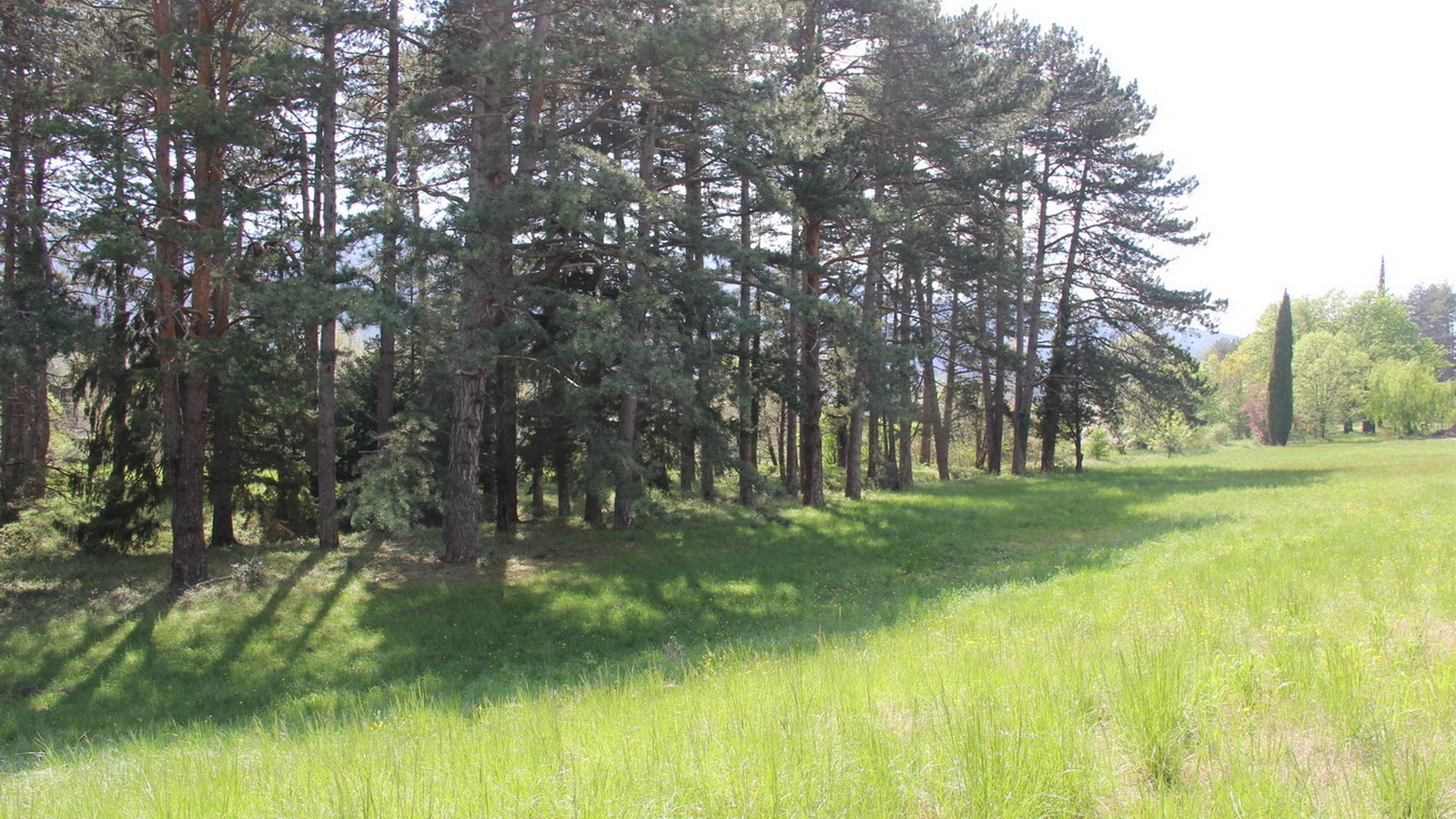 Rêve ou Réalité à Dieulefit... Oui bien sûr !!! No 110 