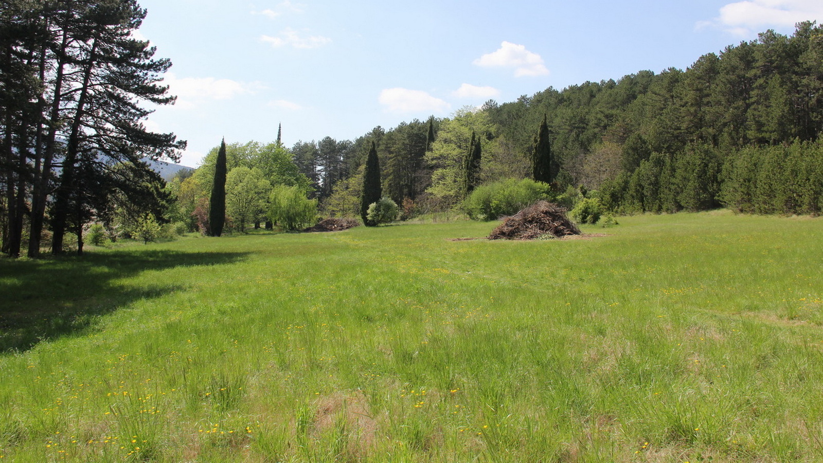 Rêve ou Réalité à Dieulefit... Oui bien sûr !!! No 111 