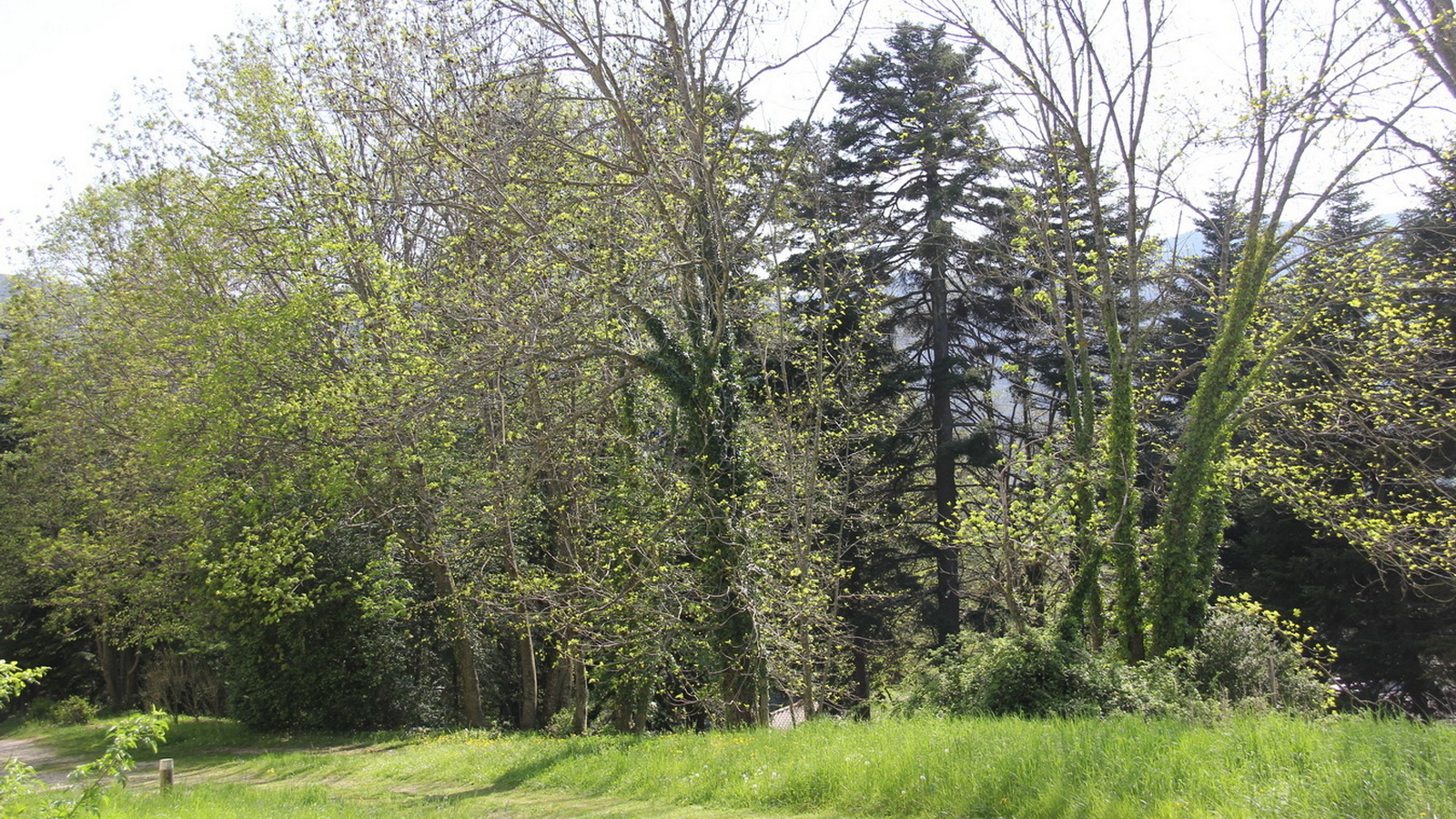 Rêve ou Réalité à Dieulefit... Oui bien sûr !!! No 151 