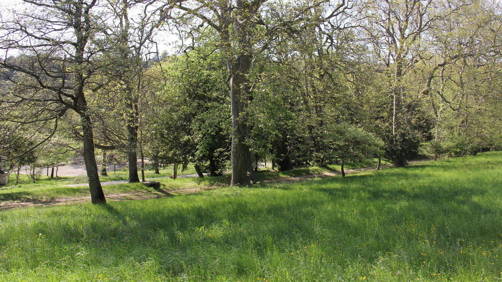 Rêve ou Réalité à Dieulefit... Oui bien sûr !!! No 152 