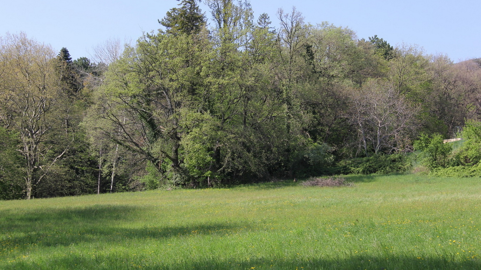 Rêve ou Réalité à Dieulefit... Oui bien sûr !!! No 153 