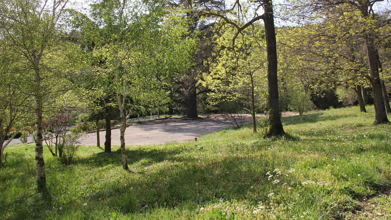 Rêve ou Réalité à Dieulefit... Oui bien sûr !!! No 155 