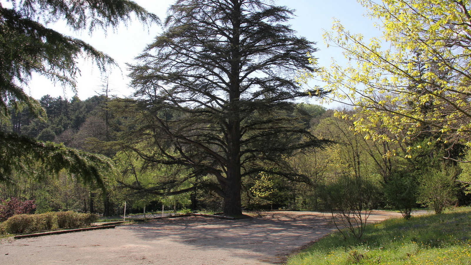 Rêve ou Réalité à Dieulefit... Oui bien sûr !!! No 156 