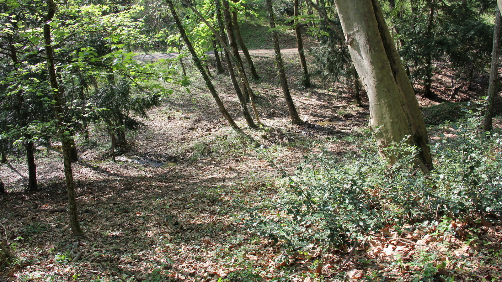 Rêve ou Réalité à Dieulefit... Oui bien sûr !!! No 171 