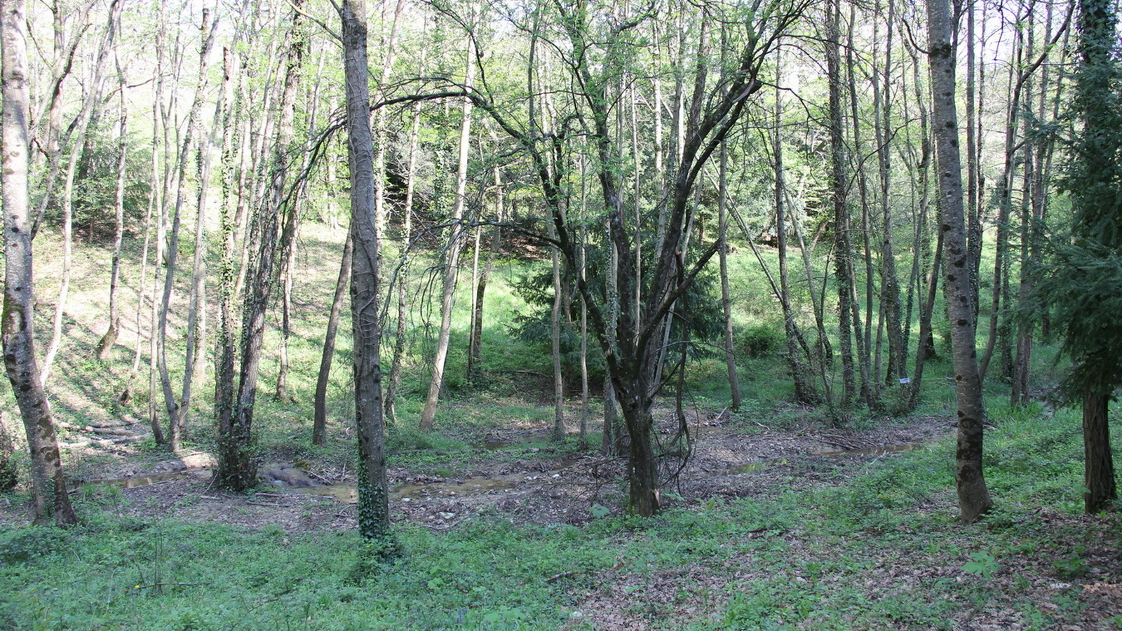 Rêve ou Réalité à Dieulefit... Oui bien sûr !!! No 173 