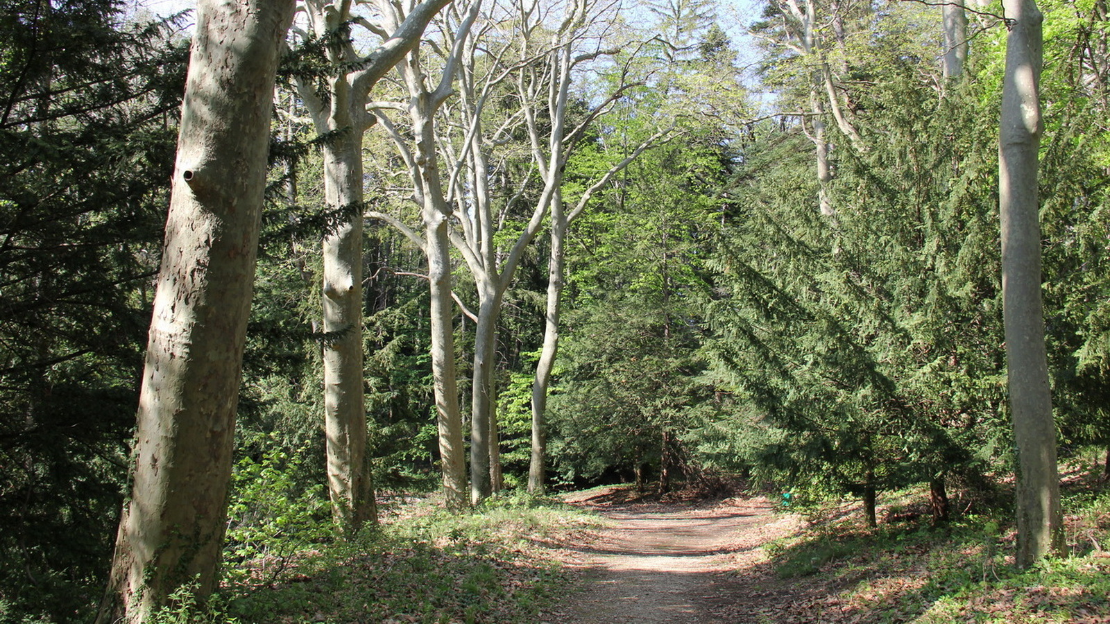 Rêve ou Réalité à Dieulefit... Oui bien sûr !!! No 175 