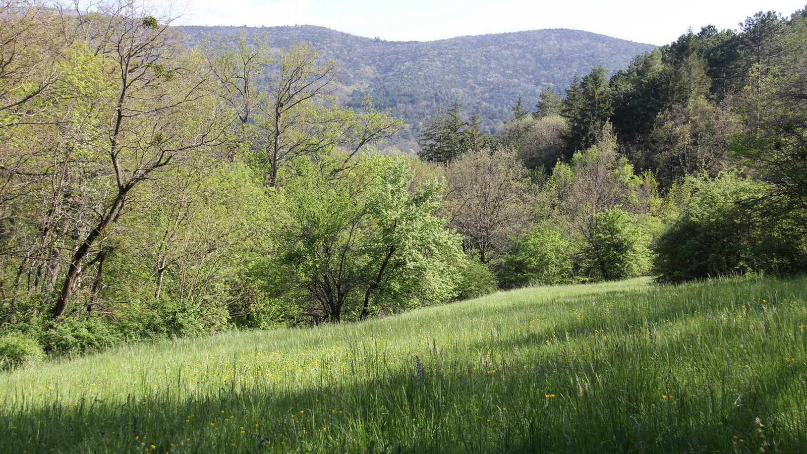 Rêve ou Réalité à Dieulefit... Oui bien sûr !!! No 176 