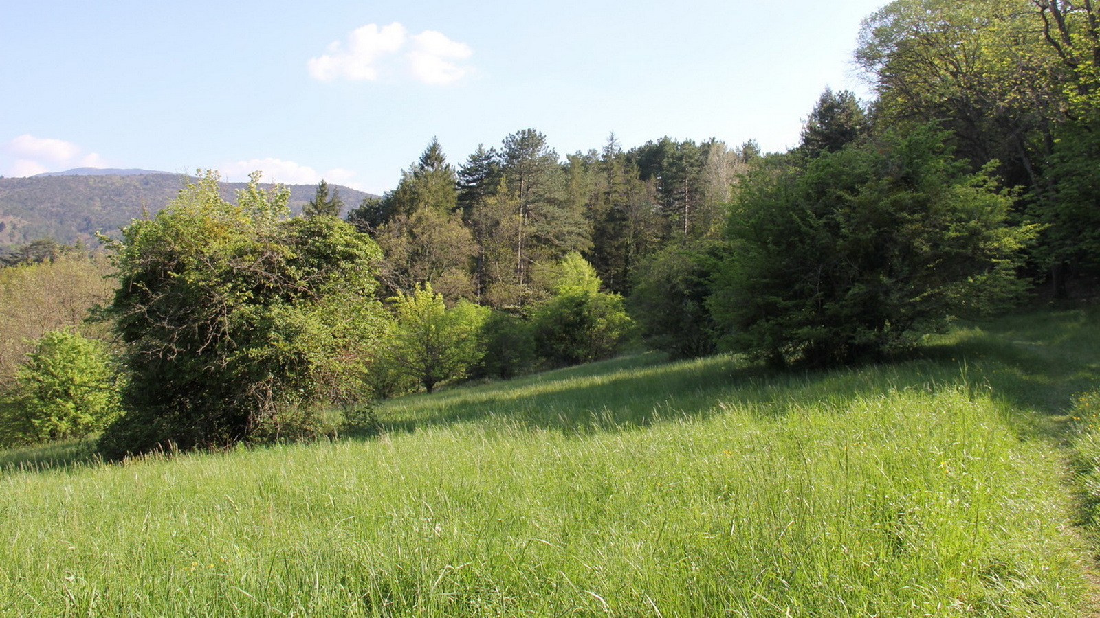 Rêve ou Réalité à Dieulefit... Oui bien sûr !!! No 178 