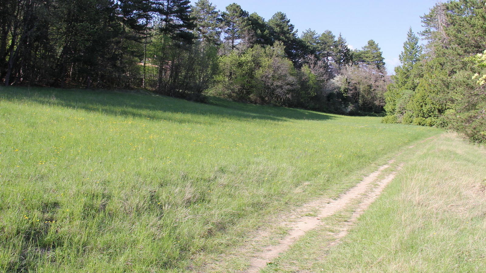 Rêve ou Réalité à Dieulefit... Oui bien sûr !!! No 1010 