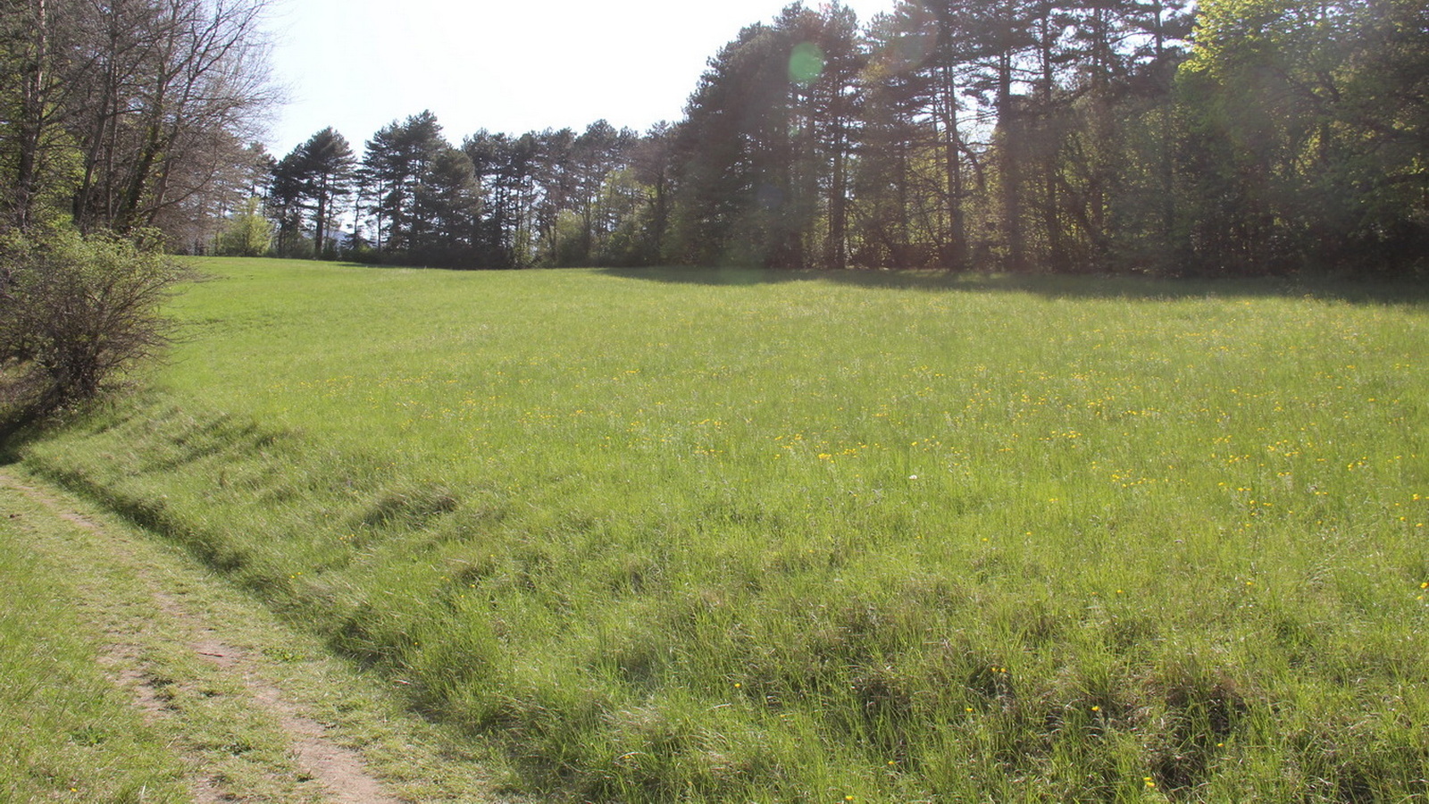 Rêve ou Réalité à Dieulefit... Oui bien sûr !!! No 181 