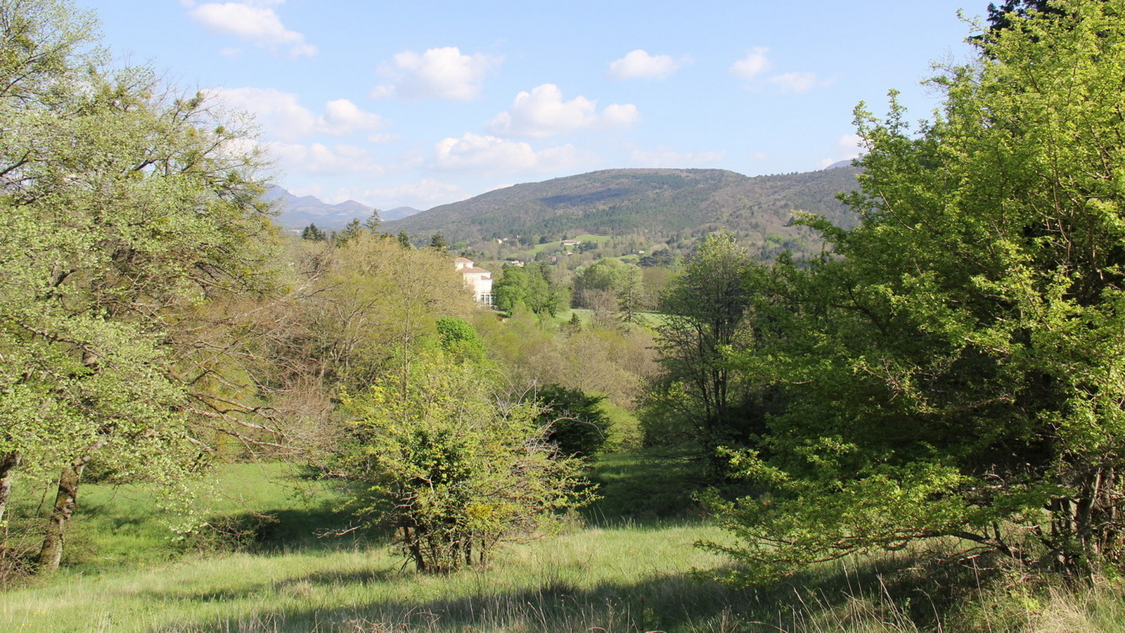 Rêve ou Réalité à Dieulefit... Oui bien sûr !!! No 182 