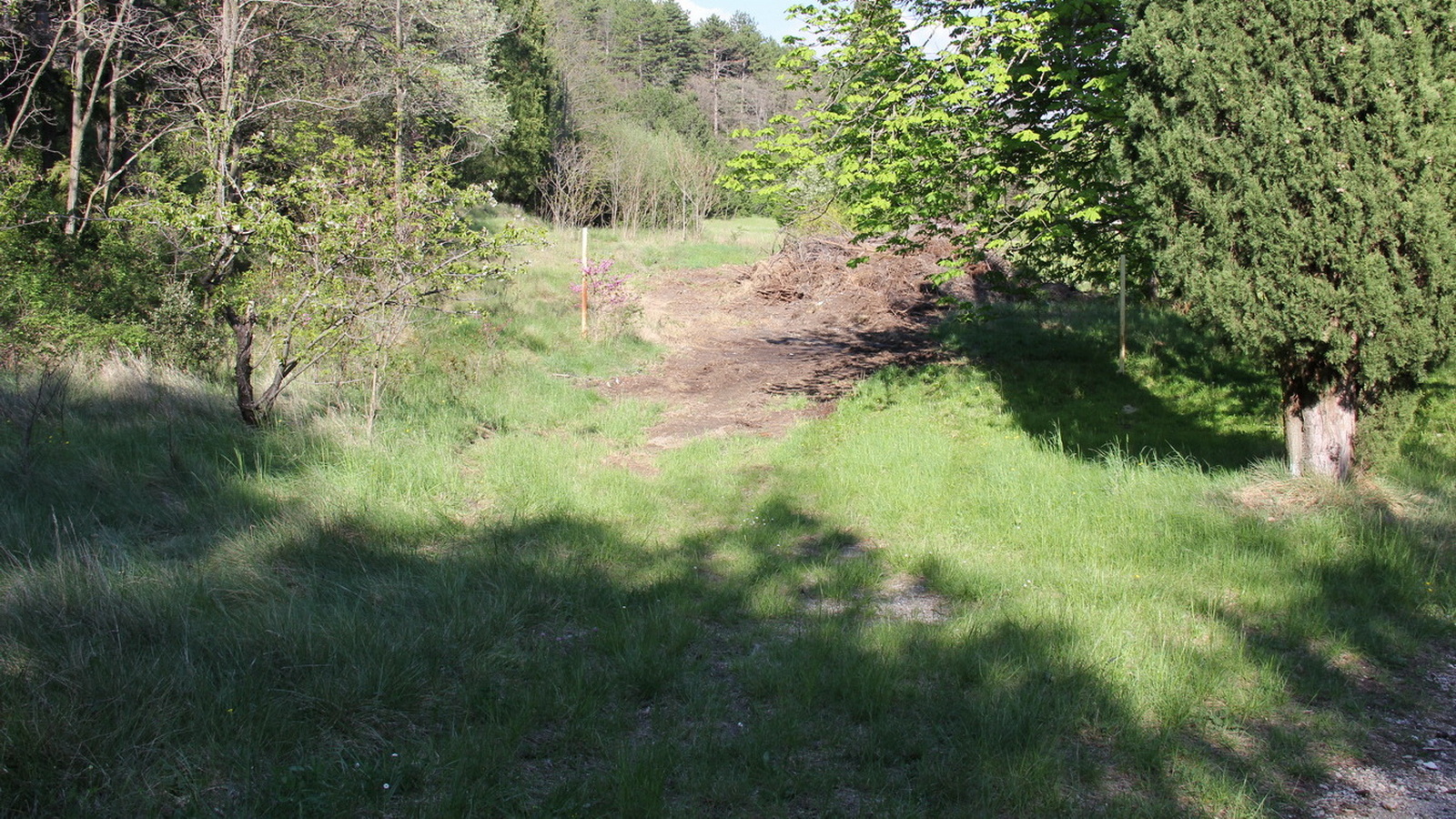 Rêve ou Réalité à Dieulefit... Oui bien sûr !!! No 187 