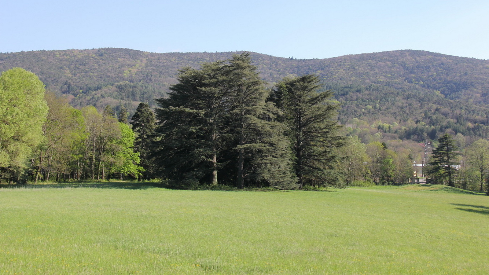 Rêve ou Réalité à Dieulefit... Oui bien sûr !!! No 195 