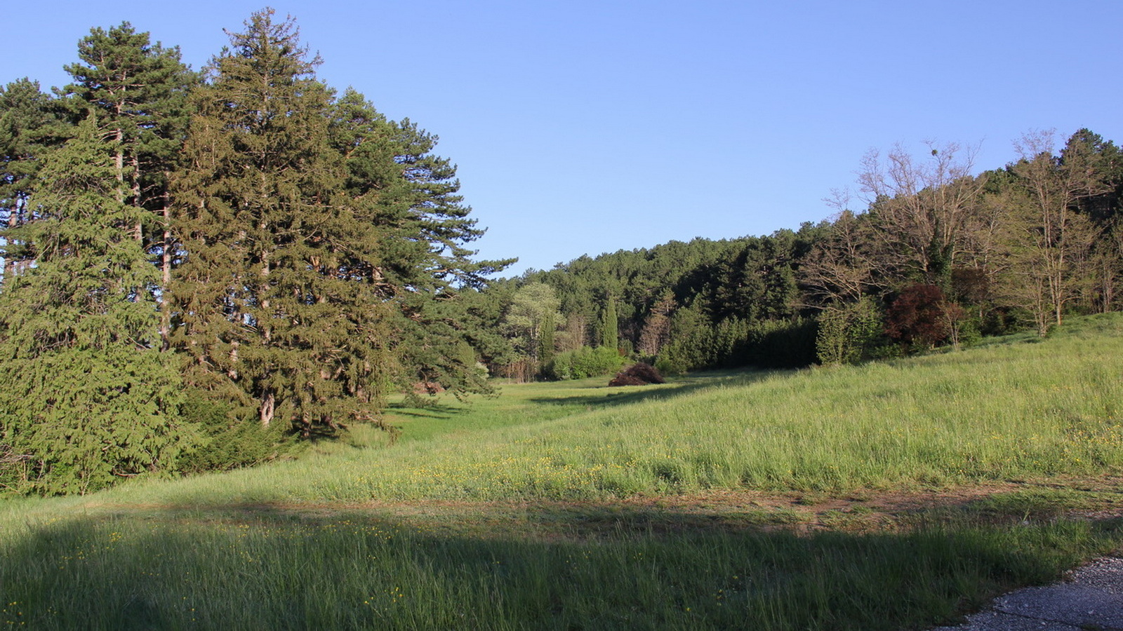 Rêve ou Réalité à Dieulefit... Oui bien sûr !!! No 199 