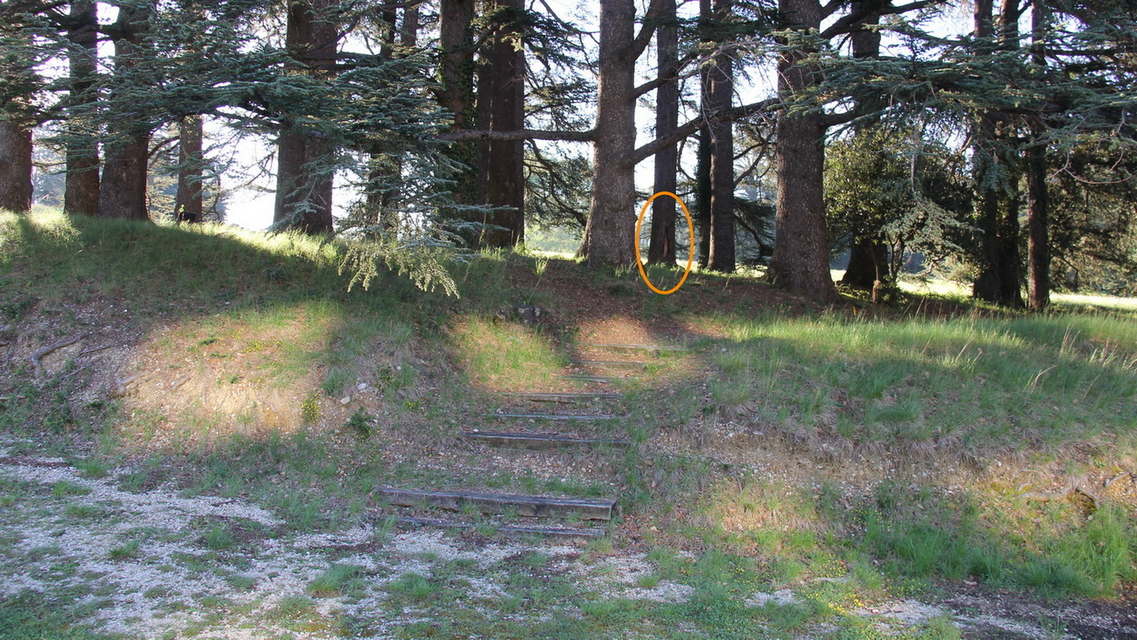 Rêve ou Réalité à Dieulefit... Oui bien sûr !!! No 203 