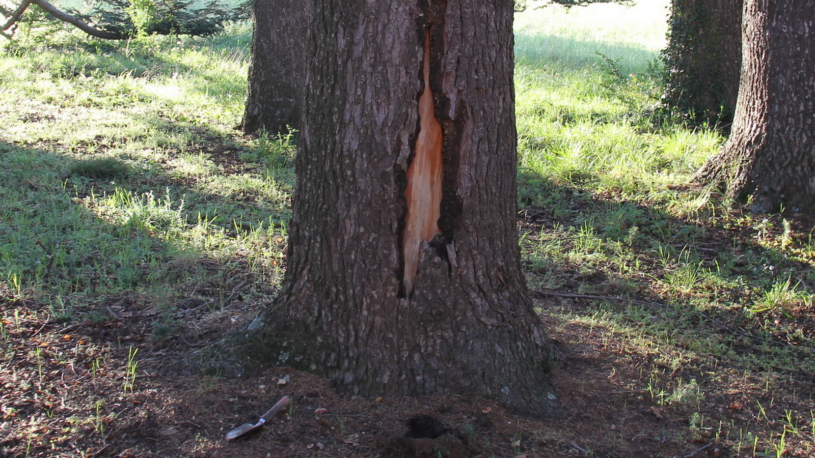 Rêve ou Réalité à Dieulefit... Oui bien sûr !!! No 204 