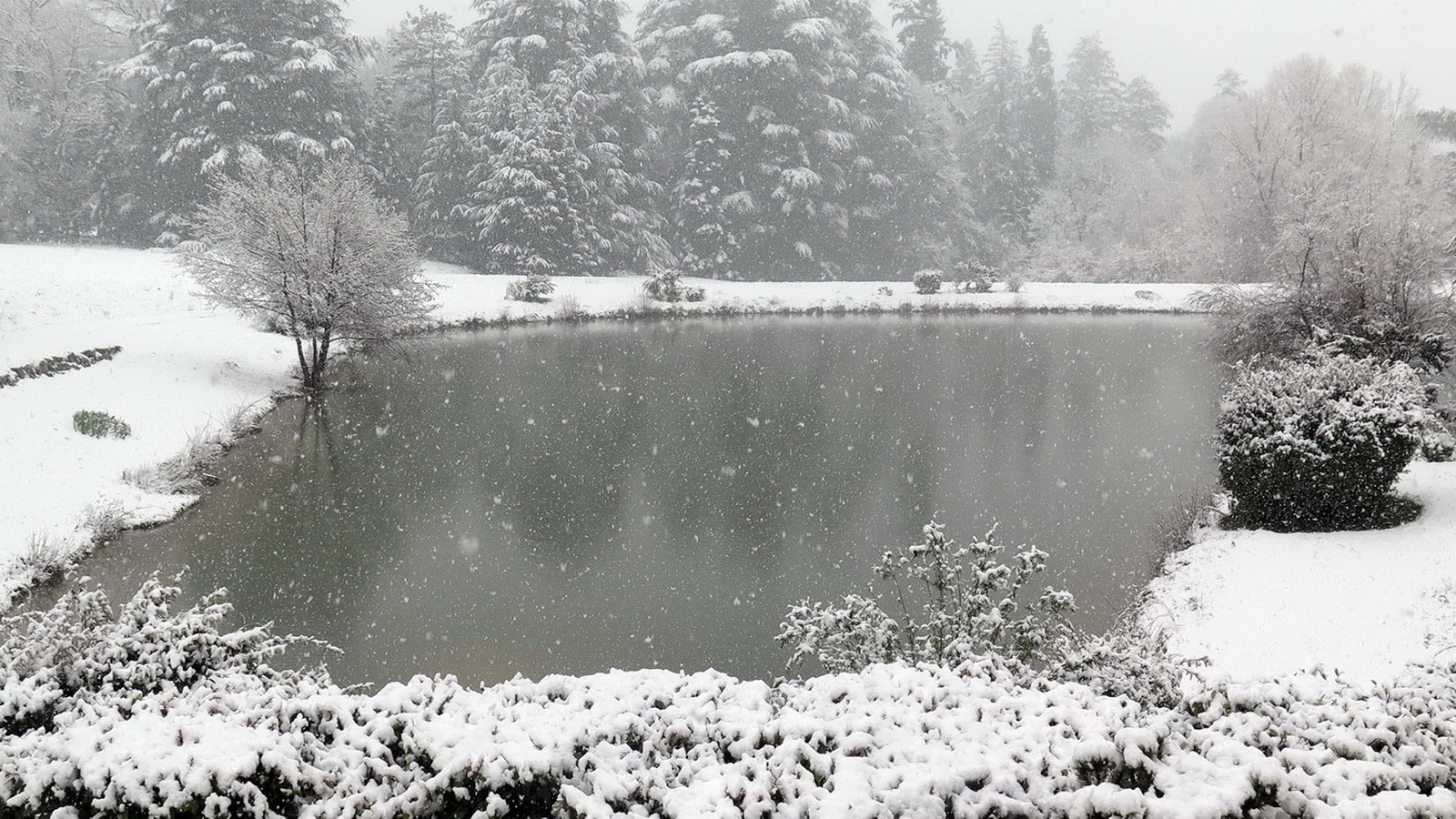 Rêve ou Réalité à Dieulefit... Oui bien sûr !!! No 208 