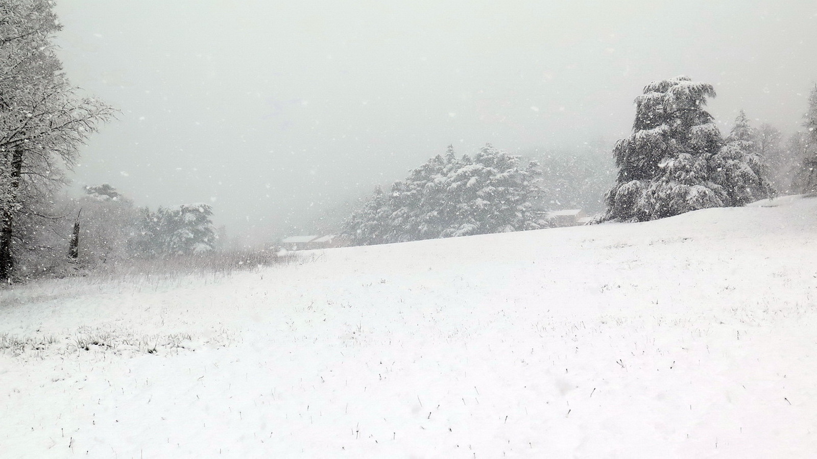 Rêve ou Réalité à Dieulefit... Oui bien sûr !!! No 209 