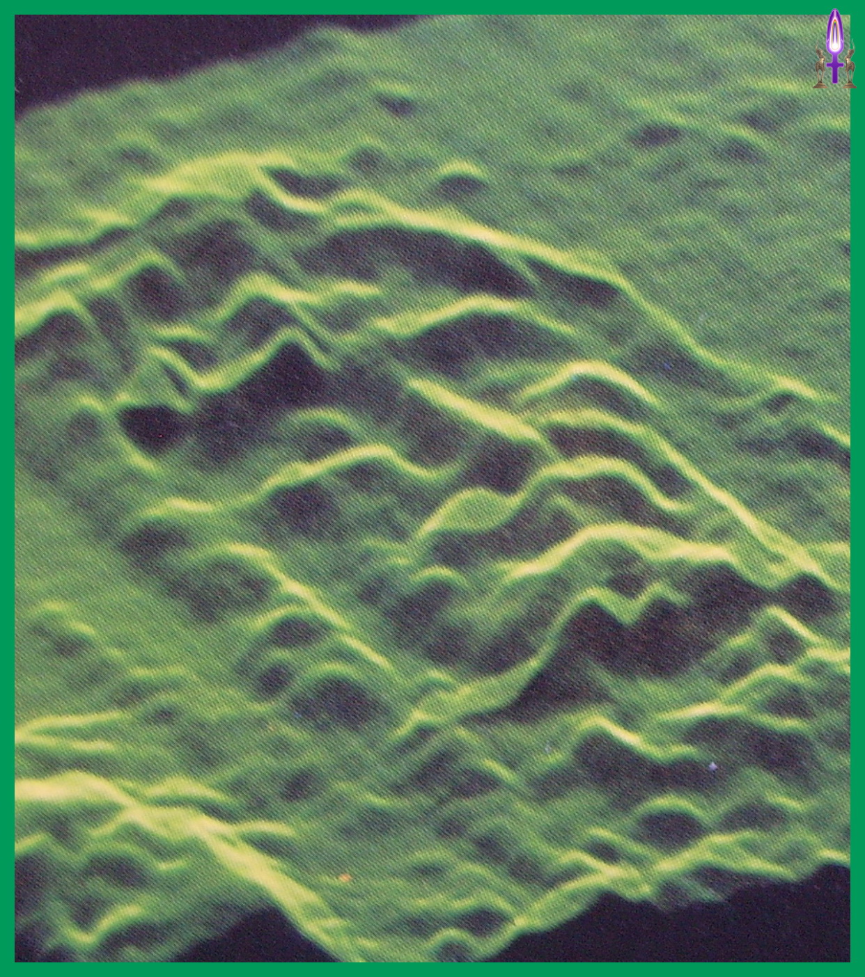 Première photo tridimensionnelle par WP-8 du visage impimé dans le linceul supposé être celui du Christ…