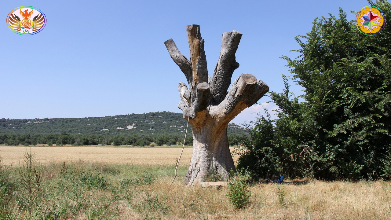 Croix de Lumière, Image de la Sainte-Baume d'Isapierre No 001 