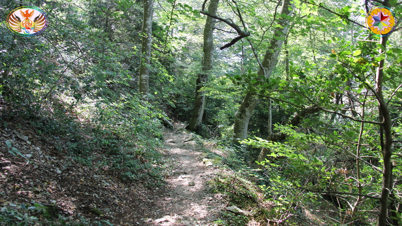 Croix de Lumière, Image de la Sainte-Baume d'Isapierre No 005 