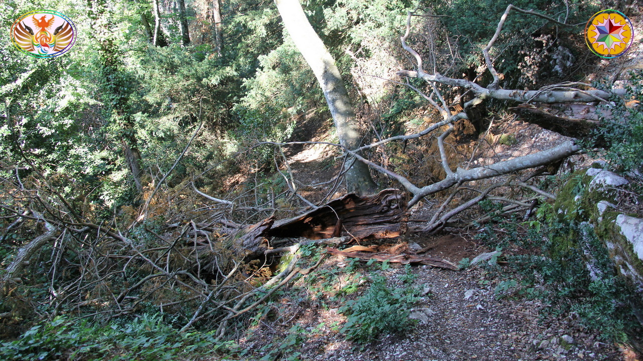 Croix de Lumière, Image de la Sainte-Baume d'Isapierre No 0010 