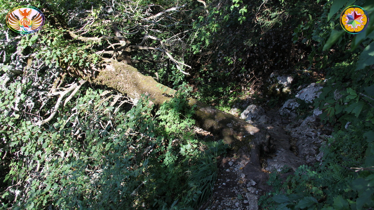Croix de Lumière, Image de la Sainte-Baume d'Isapierre No 012 