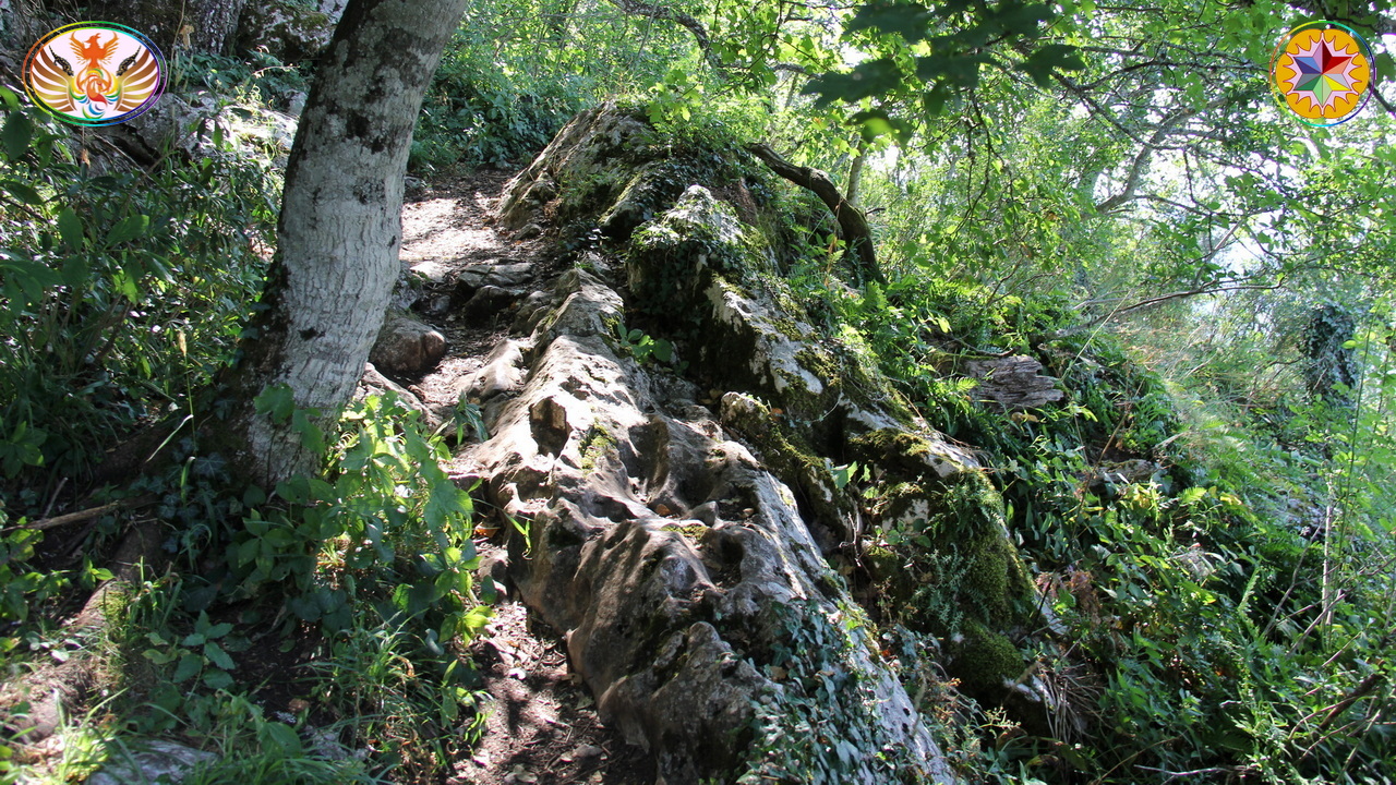 Croix de Lumière, Image de la Sainte-Baume d'Isapierre No 013 