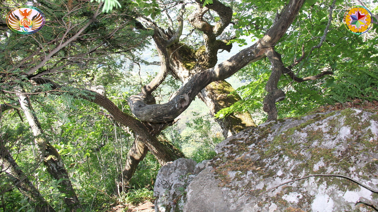 Croix de Lumière, Image de la Sainte-Baume d'Isapierre No 014 